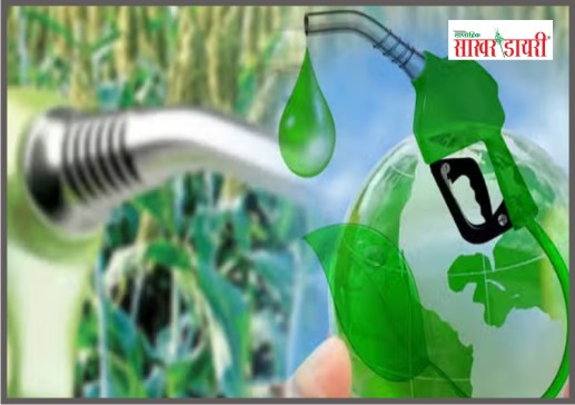 latest sugar news