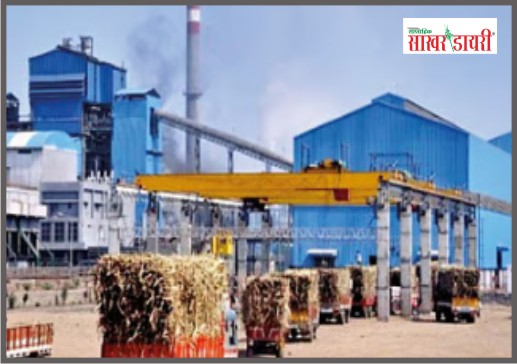 latest sugar news