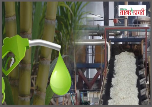 latest sugar news