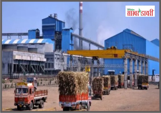 latest sugar news