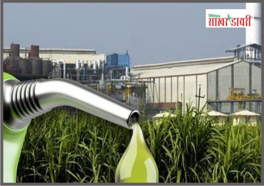 latest sugar news